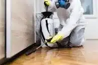 Pest control expert getting rid of unwanted pest in a house.