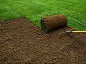 Roll of turf being laid.