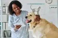 A vet treating a dog.