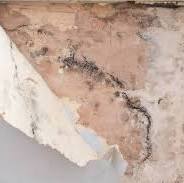 Damp proofing issue on a wall that needs attention.