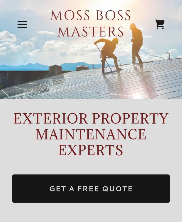 Exterior Cleaning & Maintenance